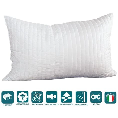 EVERGREENWEB - Cuscino In Lattice 100% Fiocchi Effetto Piuma D'oca Anallergico Traspirante Alti 12 Cm 42x72 3 EVERGREENWEB - Cuscino In Lattice 100% Fiocchi Effetto Piuma D'oca Anallergico Traspirante Alti 12 Cm 42x72