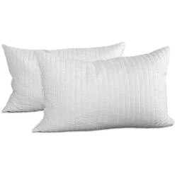 EVERGREENWEB - Coppia Cuscini Memory Foam Saponetta Con Fodera ALOE VERA 40x70 Alti 15 Cm 2 Guanciali Letto Per Dolori Cervicali Tessuto Sfoderabile Imbottitura 100% Fiocco Antiacaro X Tutti Materassi -Vendite ATMOSPHERA || None || Maxwell & Williams 19943254 4