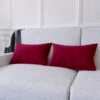 Set Di 2 Federe Per Cuscini In Velluto Morbido E Resistente Copricuscini Per Divano Poltrona Soggiorno Arredo Arredamento Casa Design Moderno Elegante Con Cerniera Invisibile