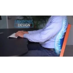 Trade Shop - Cuscino Per Schiena Supporto Lombare Memory Foam Ortopedico Ginocchia Lavabile -Vendite ATMOSPHERA || None || Maxwell & Williams 50454740 4