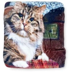 PLAID Coperta IN PILE SHERPA DIGITALE Fotografico GATTONI Gomitili -Vendite ATMOSPHERA || None || Maxwell & Williams 68838385 4