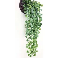 MINKUROW Bcc Pianta Finta, Ghirlanda Di Foglie Di Vite Artificiale Vite 2 Pezzi Decorazione Ghirlanda Di Foglie Di Vite Artificiali Finte Per Feste, Matrimonio, Cucina, Giardino, Ufficio -Vendite ATMOSPHERA || None || Maxwell & Williams 69788263 4