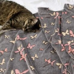 Kanguru Plaid Glow Farfalle, Coperta In Soffice Pile, SI ILLUMINA DI NOTTE, 130x150 Cm -Vendite ATMOSPHERA || None || Maxwell & Williams 78993523 3