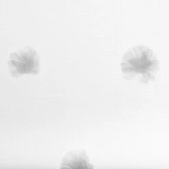 Tenda Multipla Grigia Pompons - Atmosphera Créateur D'intérieur -Vendite ATMOSPHERA || None || Maxwell & Williams 83779202 4