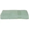 Foglio Doccia 450 G/m² Celadon - 70 X 130 - Atmosphera Créateur D'intérieur 2 Foglio Doccia 450 G/m² Celadon - 70 X 130 - Atmosphera Créateur D'intérieur -Vendite ATMOSPHERA || None || Maxwell & Williams 83780040 1