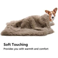 Coperta Per Animali Domestici In Pile Premium, Coperta Per Cani E Gatti, Materassino Lavabile A Doppio Strato Per Letto Per Cani, Divano, Divano, Auto S: 56 35 Cm Beige LangRay -Vendite ATMOSPHERA || None || Maxwell & Williams 89070427 5