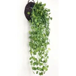 BCC Pianta Artificiale Foglia Di Anguria Artificiale 2 Pezzi Ghirlande Di Vite Decorazione Ghirlanda Di Foglie Di Anguria Artificiale Finta Adatta Per Matrimoni Festa Cucina Giardino Decorazione Uffic -Vendite ATMOSPHERA || None || Maxwell & Williams 91731524 5