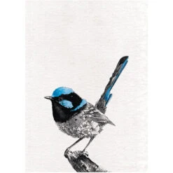 Maxwell & Williams Maxwell &amp Williams Marini Ferlazzo Birds Cloth De Asciugamano Da Cucina Con Design De Maluro Sober Australian De 100% Cotone, 50 X 70 Cm - White