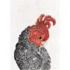 Maxwell & Williams Maxwell &amp Williams Marini Ferlazzo Birds Kitchen Towel De Asciugamano Da Cucina Con Design De Australian Gang-Gang Cockatoo De 100% Cotone, 50 X 70 Cm - White -Vendite ATMOSPHERA || None || Maxwell & Williams 97783880 1