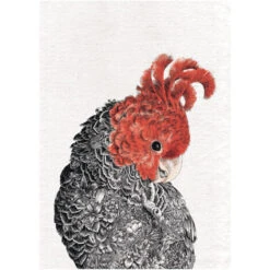 Maxwell & Williams Maxwell &amp Williams Marini Ferlazzo Birds Kitchen Towel De Asciugamano Da Cucina Con Design De Australian Gang-Gang Cockatoo De 100% Cotone, 50 X 70 Cm - White