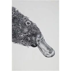 Maxwell & Williams Maxwell &amp Williams Marini Ferlazzo Asciugamano Da Cucina De Design De Ornitorinco De 100% Cotone, 50 X 70 Cm - White