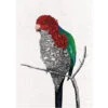 Maxwell & Williams Maxwell &amp Williams Marini Ferlazzo Birds Kitchen Towel De Design De Australian Parrot De 100% Cotton, 50 X 70 Cm - White